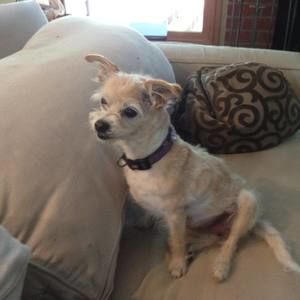 Meet your Posher, Lori